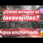 Soluciones efectivas para el problema de desagüe en tu lavavajillas