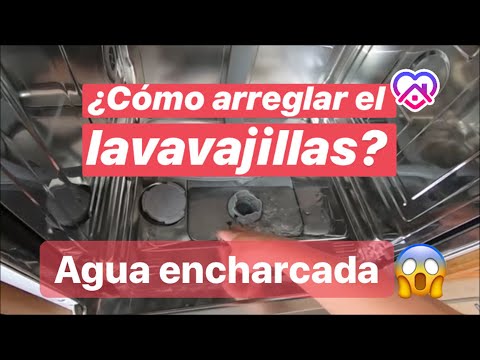 Soluciones efectivas para el problema de desagüe en tu lavavajillas