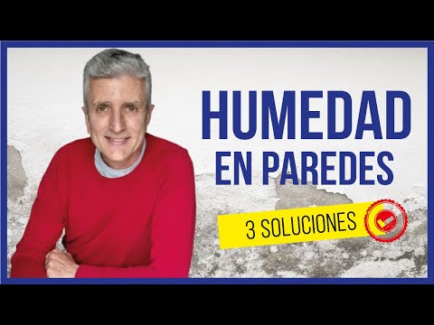 Soluciones efectivas para combatir la humedad en interiores