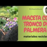 Ideas creativas para decorar el tronco de una palmera