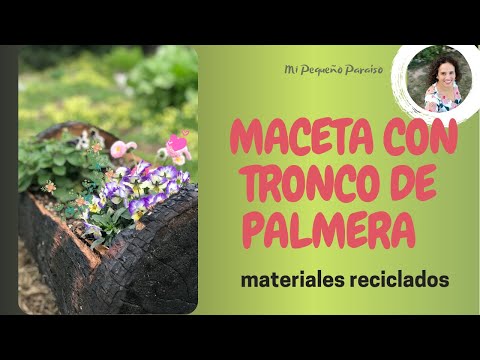 Ideas creativas para decorar el tronco de una palmera