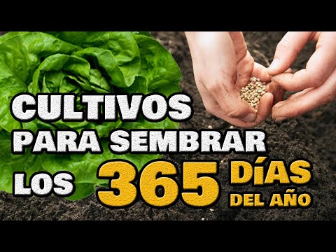 Las mejores opciones de cultivo para septiembre