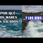 El fascinante mundo del agua salada: ¿qué es y cómo se forma?