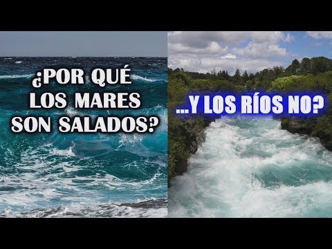 El fascinante mundo del agua salada: ¿qué es y cómo se forma?