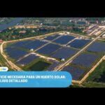 El coste de un huerto solar por hectárea: análisis detallado y consideraciones económicas