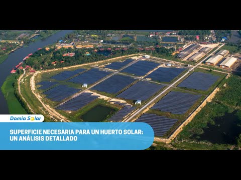 El coste de un huerto solar por hectárea: análisis detallado y consideraciones económicas