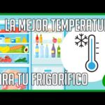 Guía completa sobre las temperaturas ideales para tu frigorífico