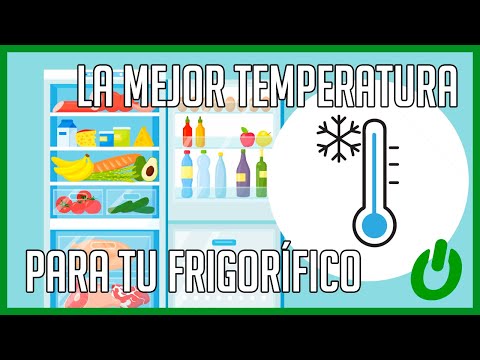 Guía completa sobre las temperaturas ideales para tu frigorífico