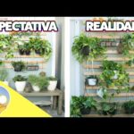 Cómo crear un hermoso jardín interior en tu casa