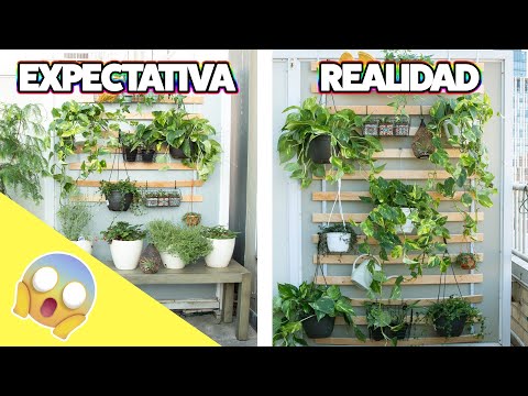 Cómo crear un hermoso jardín interior en tu casa