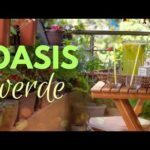 Convierte tu balcón en un oasis privado: consejos para disfrutar de la intimidad