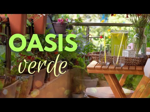 Convierte tu balcón en un oasis privado: consejos para disfrutar de la intimidad