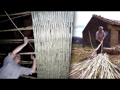 Todo lo que necesitas saber sobre el uso del cañizo para pérgolas