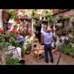 Embellece tu hogar con la magia de los patios andaluces en su máxima expresión decorativa