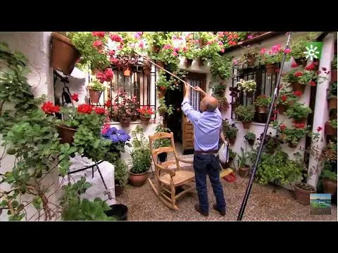 Embellece tu hogar con la magia de los patios andaluces en su máxima expresión decorativa