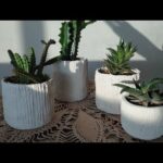 5 ideas creativas para fabricar maceteros caseros y darle vida a tus plantas