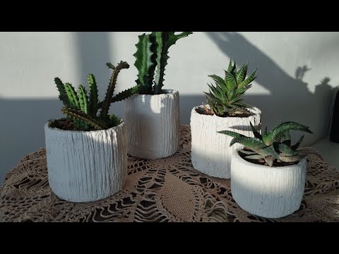 5 ideas creativas para fabricar maceteros caseros y darle vida a tus plantas