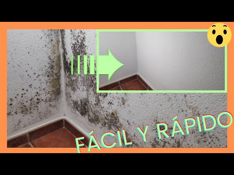 5 efectivos métodos para eliminar las manchas de humedad en la pared