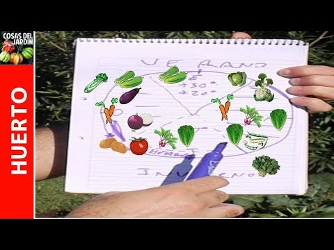 Planifica tus cultivos con el calendario de siembras