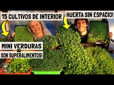 Convierte tu espacio exterior en un oasis verde con un huerto en miniatura