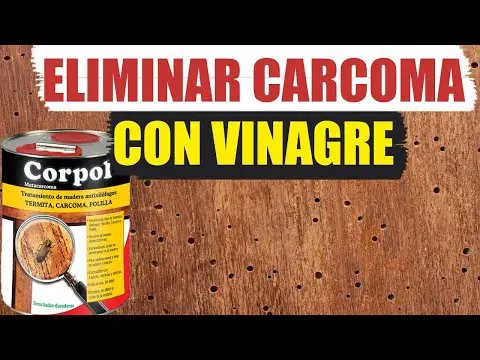 Elimina la carcoma de forma natural con estos remedios caseros.