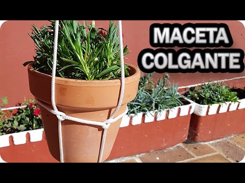 Crea tus propios maceteros colgantes caseros