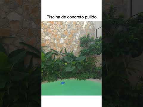 Piscinas de cemento pulido: Una opción moderna y elegante para tu espacio de relajación acuática