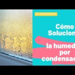 Consejos efectivos para eliminar la condensación en tu hogar