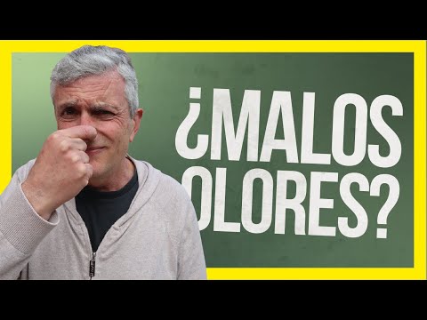 Elimina los malos olores en tu baño de forma eficaz