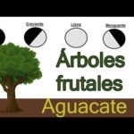 El mejor momento para plantar árboles frutales