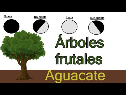 El mejor momento para plantar árboles frutales