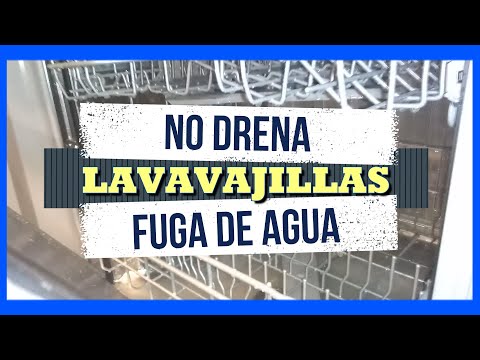 Las posibles razones por las que se acumula agua en el lavavajillas