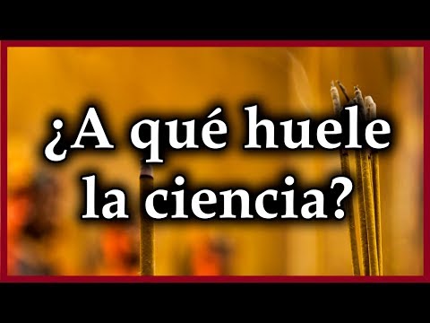 Identifica el origen de los olores de forma efectiva