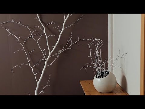 Ideas para embellecer tu hogar con un árbol seco