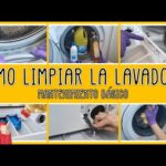 Guía completa para limpiar el interior de tu lavadora de forma efectiva