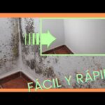 Cómo eliminar las manchas de humedad en las paredes