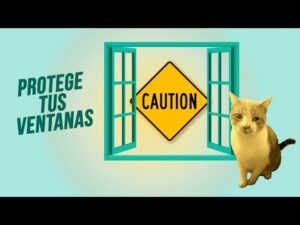 Las ventajas de las redes para mantener a los gatos seguros en las ventanas