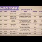 Las mejores opciones para sembrar en abril: cultivos ideales para esta época del año