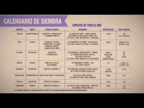 Las mejores opciones para sembrar en abril: cultivos ideales para esta época del año