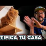 Hogar felino en Valencia: una casa ideal para tu gato