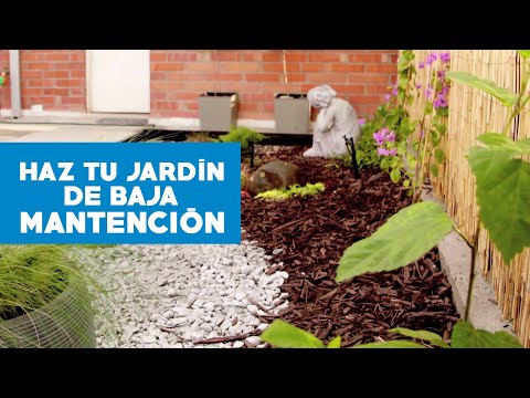 Armonía natural: Diseña tus jardines con caminos de piedra