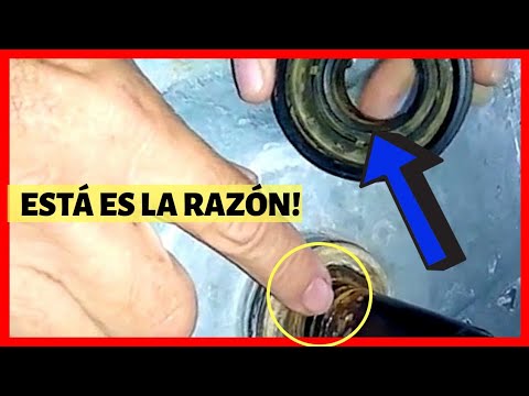 Cómo solucionar una lavadora que gotea agua por debajo