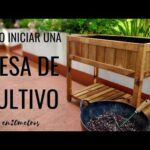 Los beneficios de tener un huerto urbano en una mesa de cultivo