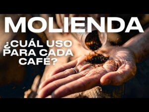 La eficiencia y el sabor del café molido en tu hogar: la cafetera automática perfecta