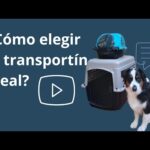 La guía definitiva para elegir el transportín perfecto para perros grandes XXL