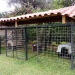 Las mejores opciones de perreras para perros en el exterior