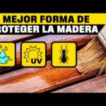 Mejora y protege tu hormigón exterior con estas pinturas de calidad