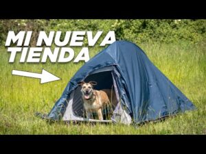 Encuentra la tienda de campaña perfecta para tus aventuras al aire libre