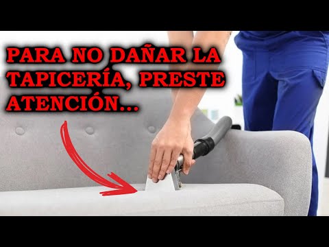 La elegancia del terciopelo y el brillo de las patas doradas en sillas de ensueño