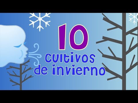 Las mejores opciones de plantas para cultivar en invierno